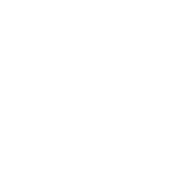 NORTHERN VALOR